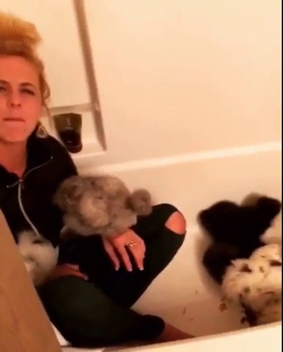 Poules dans la baignoire ? C'est quoi ce délire !