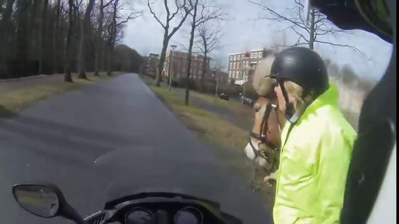 Rattraper un cheval fou.. en scooter !!