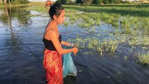 Amazing Beautiful Girl Catch water snake Using net | How to Catch Water Snake in Cambodia