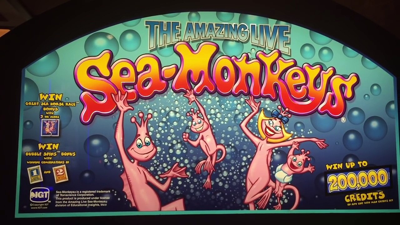 **EPIC JACKPOT** 5,000 SUBS 2,000,000 VIEWS $40 Bonus Spins - Sea Monkeys Slot Machine