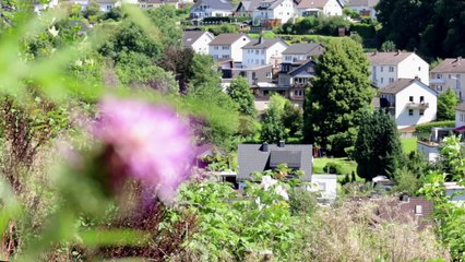 CRUISING - schwuler Kurzfilm