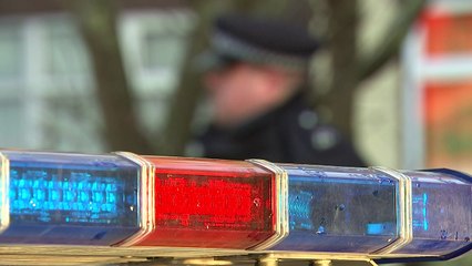 Russian businessman found dead in South West London