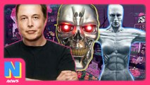 Elon Musk Says AI Ready To Kill Humanity, Westworld’s Season 2 Details Revealed | Nerdwire News