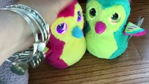 Still Sick - Hatchimals Growing Up So Fast and Playing - Family Vlog 10 10 16