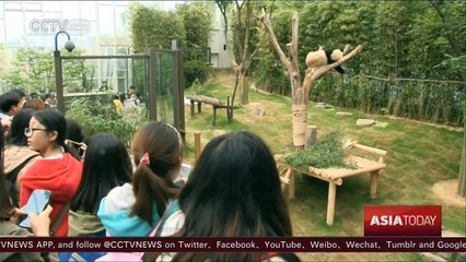 Pandas Ai Bao and Le Bao thrill crowds at amusement park in South Korea