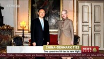 Chinese State Councilor discusses furthering bilateral ties with Danish FM