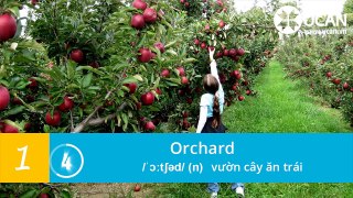 Learn English Listening - Lesson 18. The peach ochard