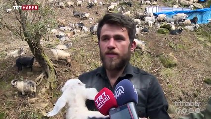 Ali Güney - Rizeli Çoban dan müthiş ses - Keçilere Fısıldayan Adam