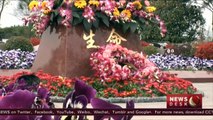 Number of tomb sweeping to reach peak level in Qingming festival