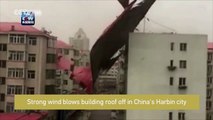 Footage: Strong wind blows off building roof
