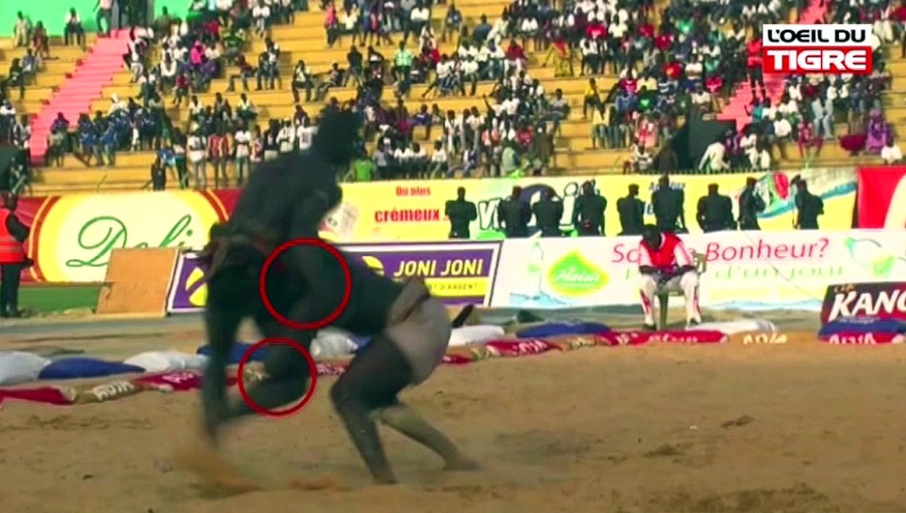 RUBRIQUE CHAMPION du 13 Mars 2018 dans L' Oeil Du Tigre - Partie 2