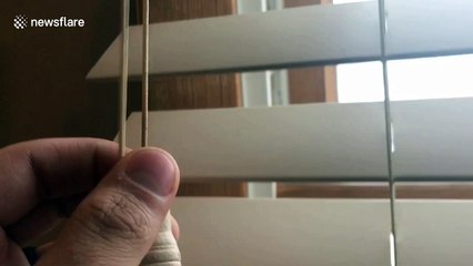 Third nor’easter blankets New York with snow