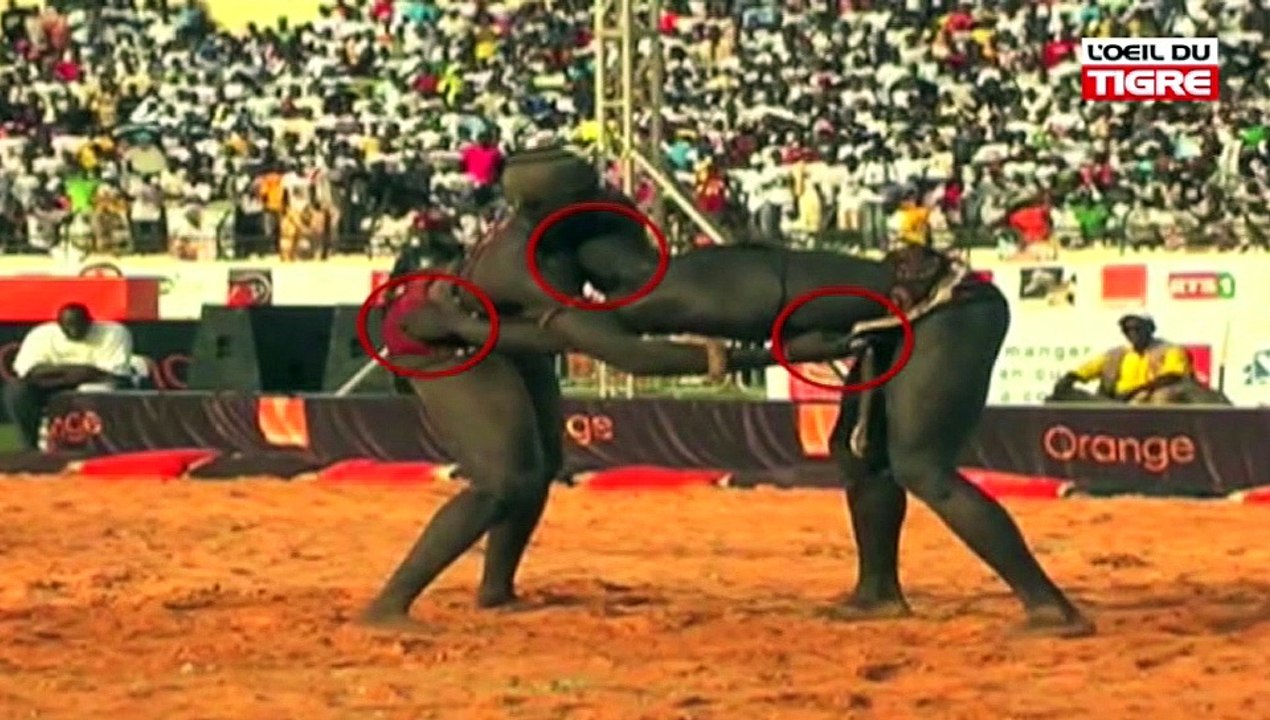 RUBRIQUE JELL BI du 13 Mars 2018 avec SOCOCIM & MALICK NIANG dans L' Oeil Du Tigre