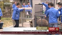 China sends a pair of pandas to South Korea