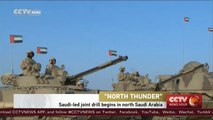 North Thunder joint military drill begins in Saudi Arabia