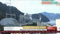 Japan finds radioactive water at nuclear reactor