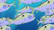 Wild Kratts - Creatures That Make a Big Splash! (40 Minutes!)