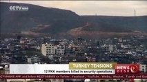 12 PKK members killed in Turkish security operations