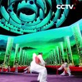 Best of Chinese kung fu from China National Martial Arts Troupe | CCTV English