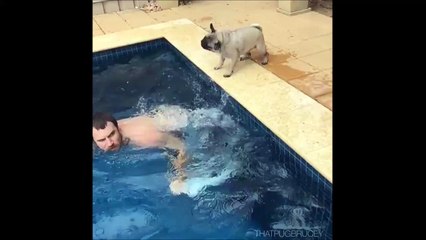 Quand ton chien te prend pour un bateau