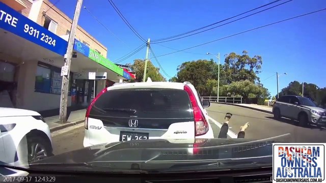 Quand tu confonds le frein et l’accélérateur... Oups