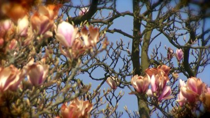 Postcard - MXGP of Europe - Valkenswaard 2018 #motocross