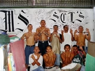 MS-13 Gangsters: A Closer Look