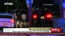 Orlando shooting vaults gun control, Islam into US presidential election campaign