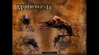 Morrowind Gameplay / Walkthrough Part 2