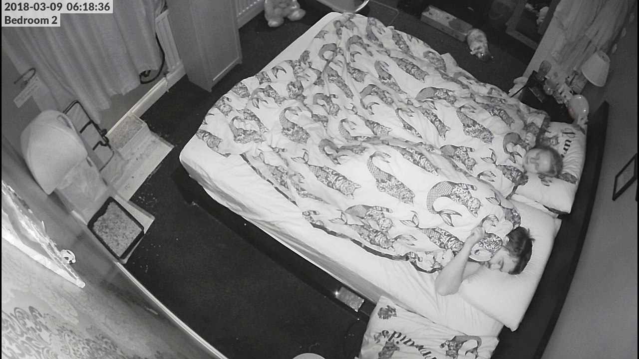 Rabbit Wake Up Call