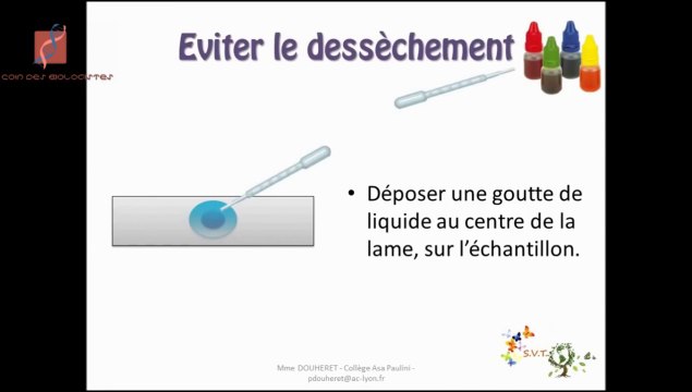 Que peut-on observer au microscope ? on peut observer de petits êtres vivants entiers (bactéries, unicellulaires) ou des fragments vivants de plus grands organismes (végétaux ou animaux). On peut aussi observer les minéraux. Pour plus d'informations