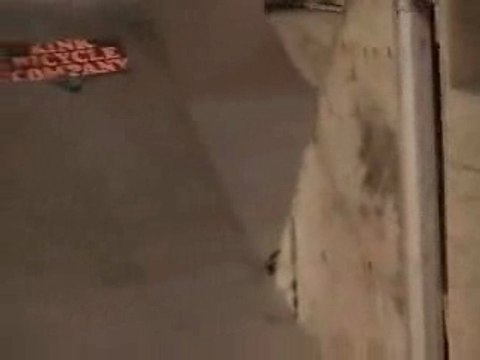 parodie regis est un con