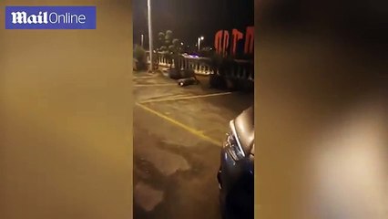 خنزير مفترس يقتحم مسجد ويهاجم جميع المصلين