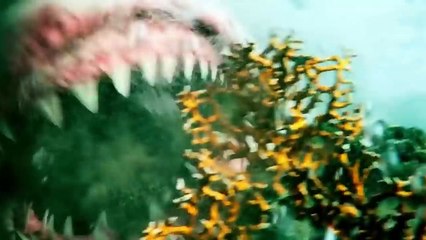 WHAT WOULD YOU DO IN THESE SITUATIONS? VIDEO TEST