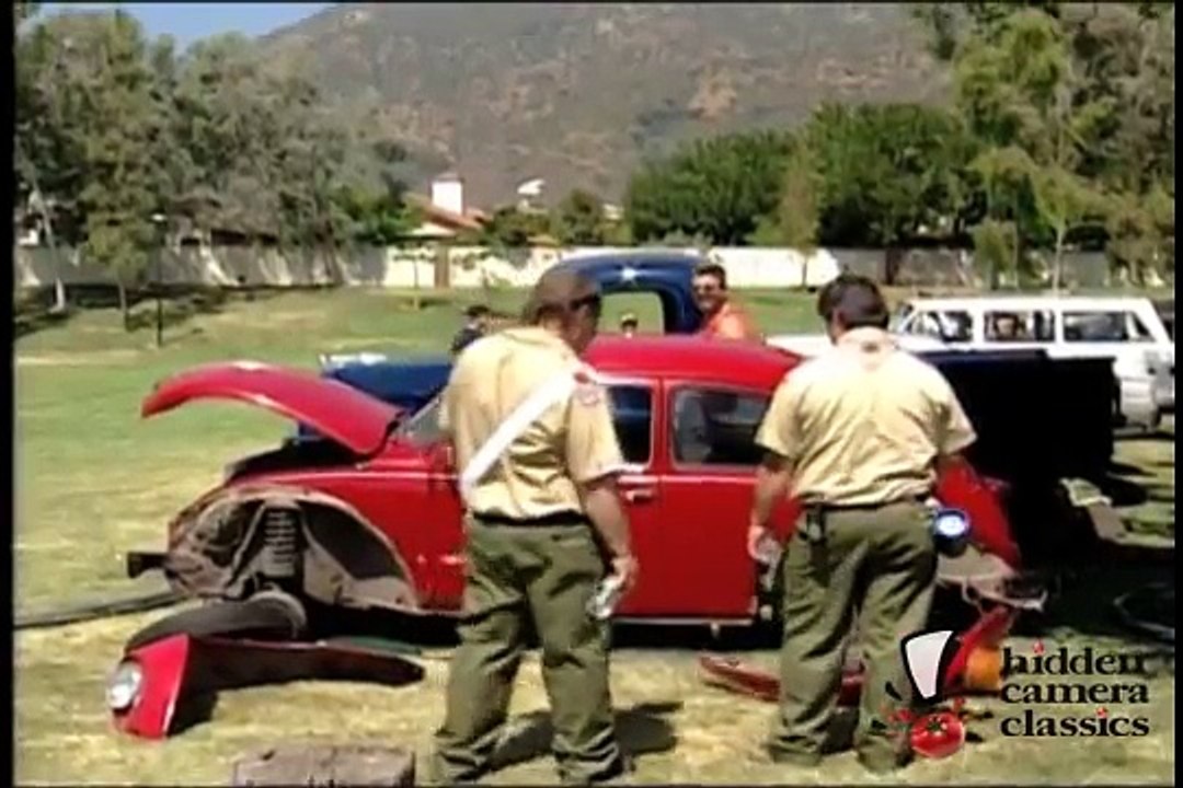 Love Bug Falls Apart