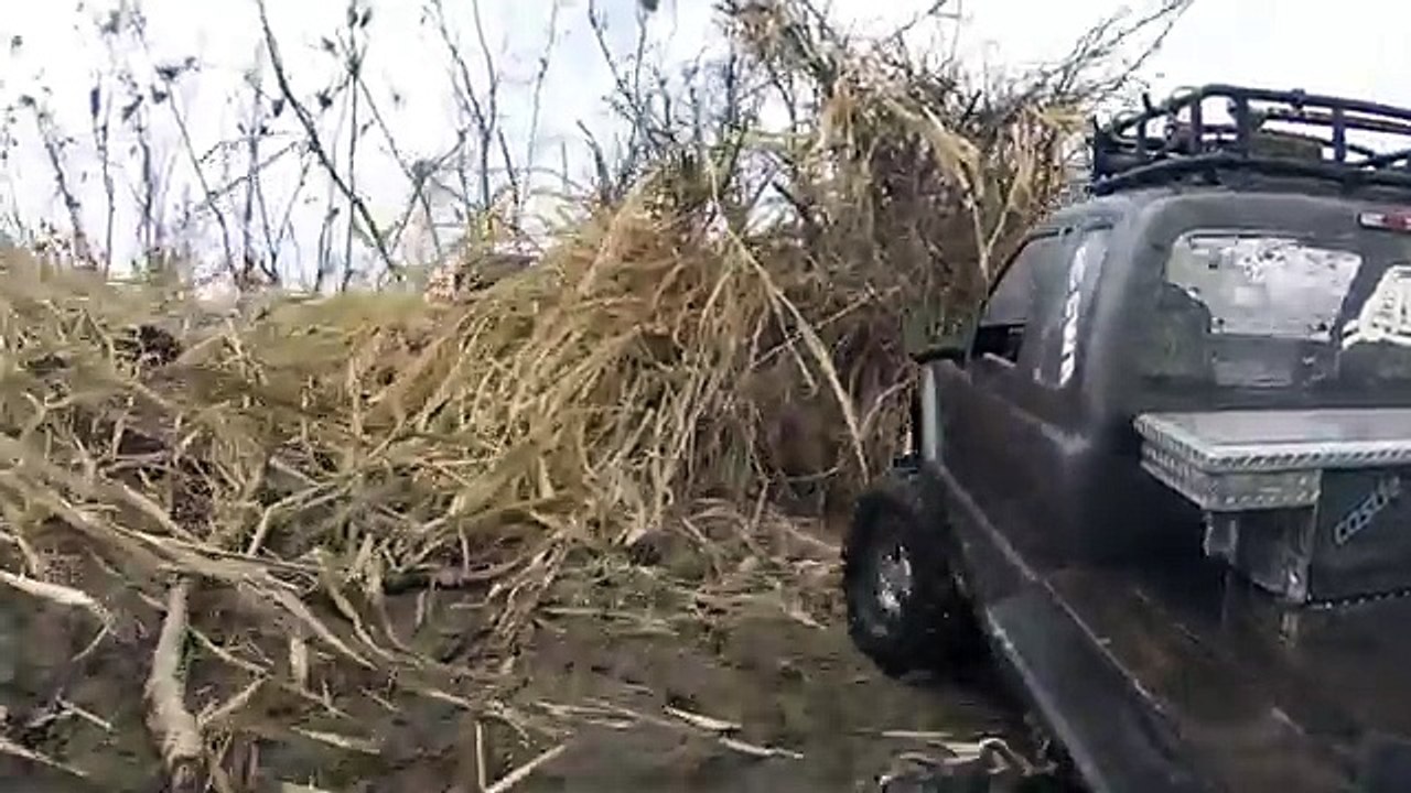 RC CWR Mudder Truckers