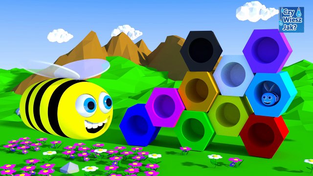 Color learning for kids with honey bee beehives | CzyWieszJak