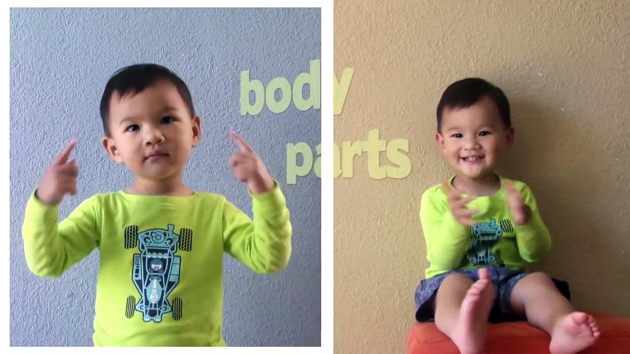 BODY PARTS Song |  Freedom Kids