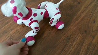 Zoomer зумер или зуми розовая собака робот. Вики Сара