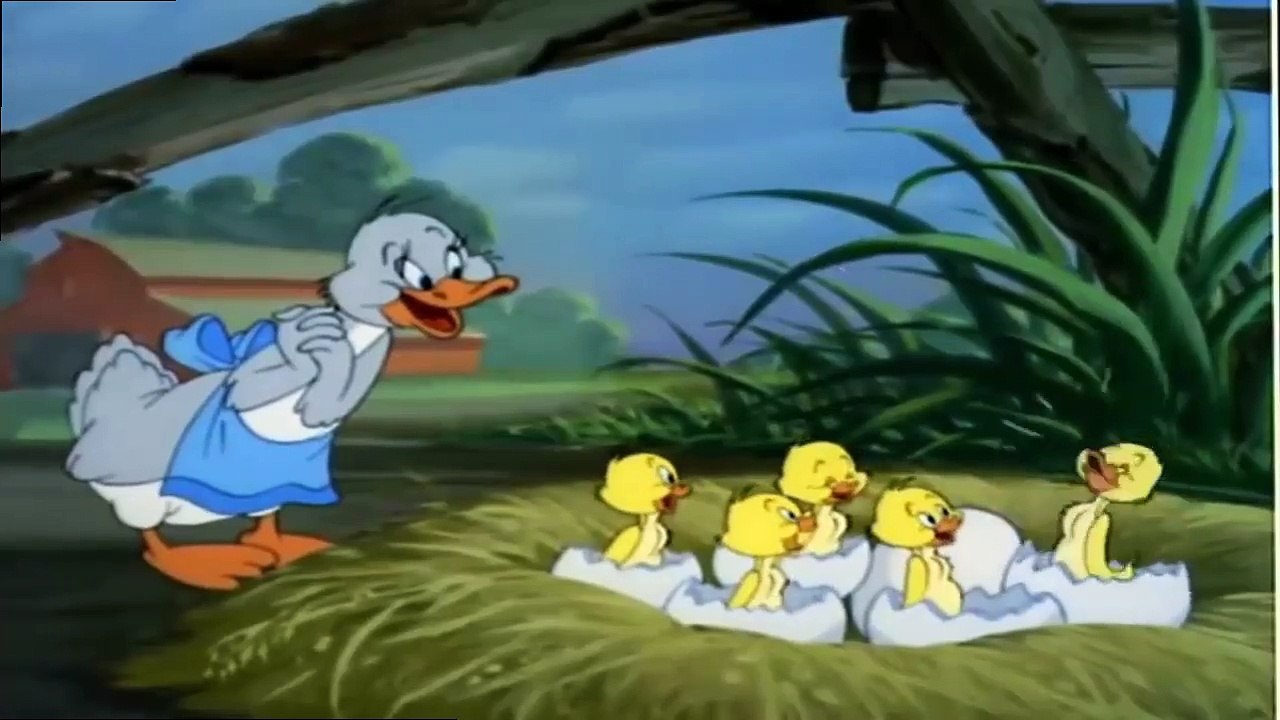Tom and Jerry - Funny Duck - Cartoons For Kids