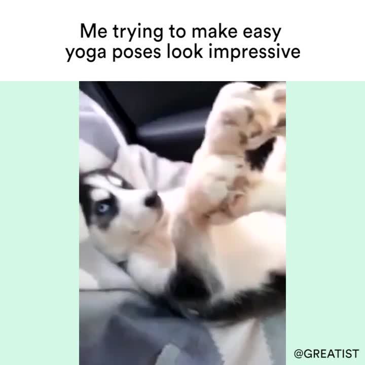 Yoga Pose