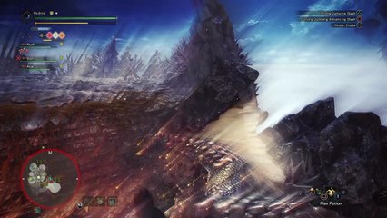 Insect Glaive Shenanigans