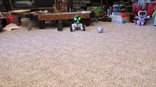 CHiP Interive Robot Pet Dog From WowWee, Hands-On Review, Part 1