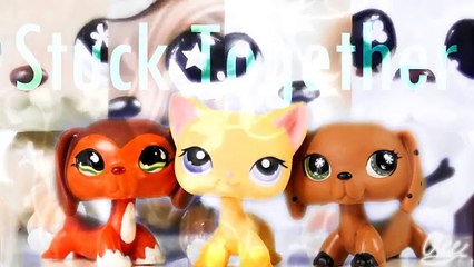 Lps Stuck Together Episode 12 Searching - just been playing roblox lps amino