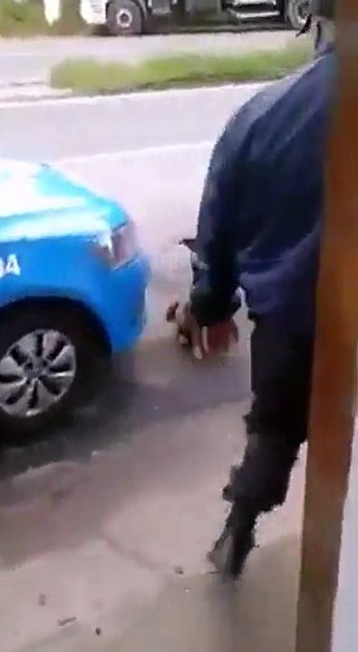 Facebook Policía detiene a perro y lo revisa como a un ladrón