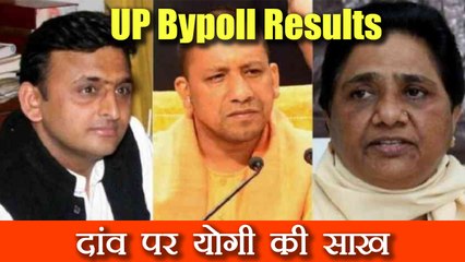 UP By poll Results: Gorakhpur & Phulpur seat के नतीजे आज होंगे घोषित । वनइंडिया हिंदी