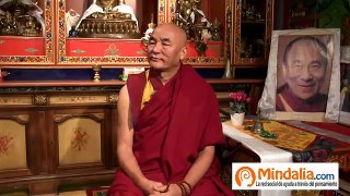 ¿Qué es la reencarnación? por el Lama Thubten Wangchen