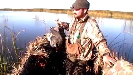 Duck Hunting: Diver Ducks