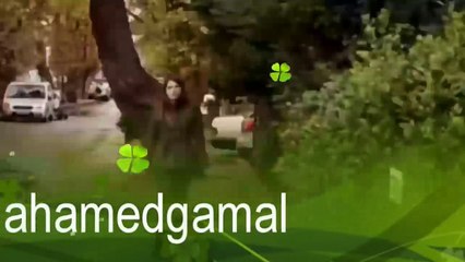 اغنية وحشنى امير وفريحة