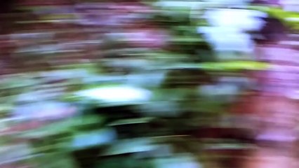 CCTV Footage Of Ghost Roaming Around An Eerie Room!!